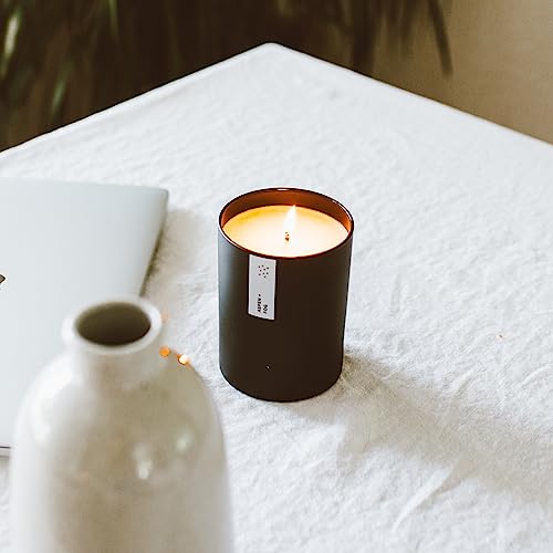Calyan Wax Co. Aspen & Fog Scented Candle - 75 Hour Burn - Luxury Clean Soy Wax Candles - Long Lasting Black Tumbler Jar C...