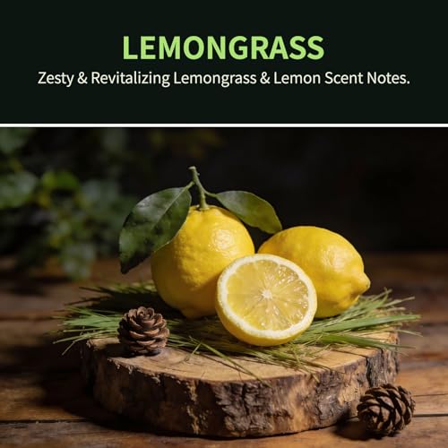 GAGINGOOLD Car Air Freshener Hanging 2 Pack, Lemon Grass Scent Essential Oil Diffuser Long Lasting Up to 150 Days, Cute Ca...