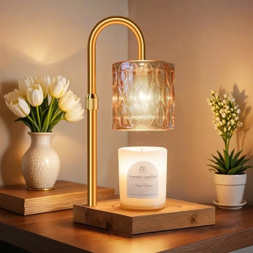 Candle Warmer Lamp Gifts for Women - Home Decor Aesthetic mom Birthday Gift ideas - Wax melt Warmers Light for Office Bedr...