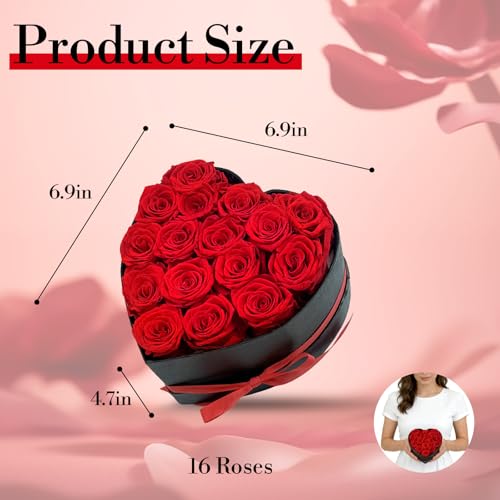 Qutawua Preserved Roses Heart Shape Box Valentines Day Gifts for Her Mothers Day Forever Flowers (Red, 16 Roses)