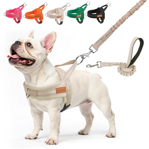 BEAUTYZOO Dog Harness No Pull, Quick Fit Dog Harness and Leash Set, Escape Proof Vest Harness with Soft Handle, Reflective...