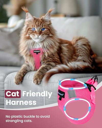 FAYOGOO Cat Harness and Leash Set | Upgrade Step-in Escape Proof Harness | Lightweight Soft Vest, No-Choke Design for Walk...