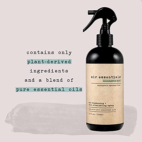 Air Essentials 12 oz Air Freshener & Odor Eliminator Spray - Neutralize Odors from Smoke, Pets, Food & Garbage in Homes, O...