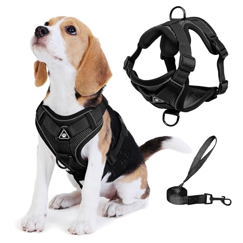 Jolifield No Pull Dog Harness with Leash Set for Small Sized Dog, Reflective Adjustable No Choke Cat Vest HarnessSoft Padd...