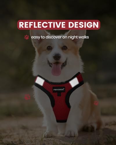 FAYOGOO Service Dog Vest for Small Dogs - Lightweight Dog Harness with 6PCS Removable Patches - Puppy Harness and Leash Se...