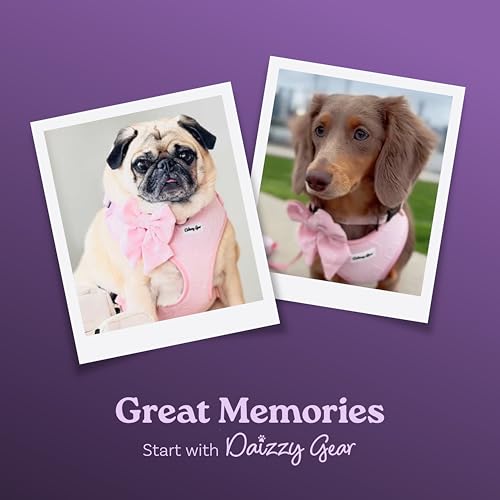 Small Dog Harness Set – Cute No Pull, All Weather, Breathable Harness and Leash Set with Collar, Bandana, Sailor Bow & Poo...