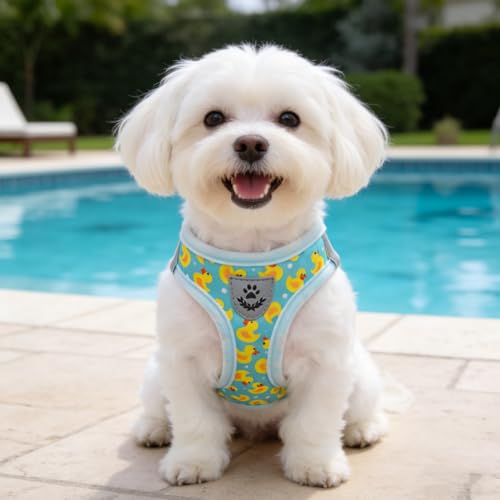 SCENEREAL Small Dog Harness and Leash Collar Set, Step in Soft Light Puppy Vest, Breathable Pet Harness for Small Sized Do...