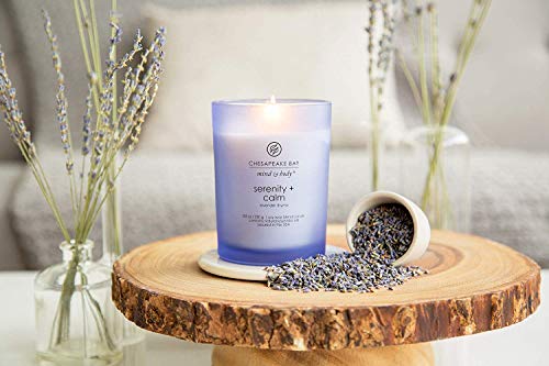 Chesapeake Bay Candle Medium Jar Scented Candle Serenity + Calm (Lavender Thyme) Home Décor Orange Gifting Idea Burn Time ...