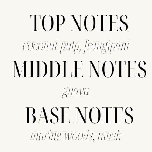 Sand + Fog Scented Candle - California Beach House – Additional Scents and Sizes – 100% Cotton Lead-Free Wick - Luxury Air...