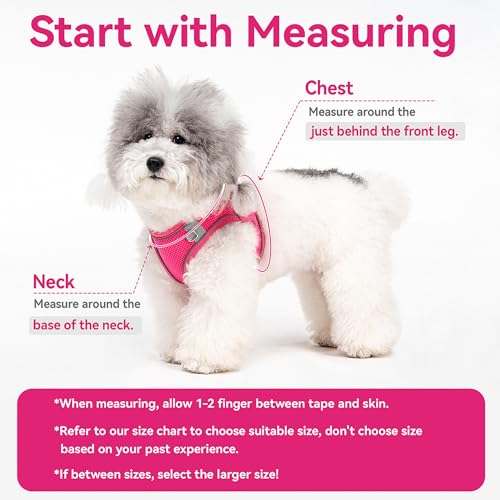 Aecllcea Dog Harness for Small Medium Sized Dog, Puppy Harness and Leash Set Training, Dog Harness and Leash Set, Dog Vest...