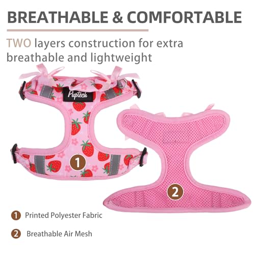 PUPTECK Dog Harness and Leash Set Small Sized, Step in No Pull Adjustable Puppy Cat Harness Reflective Pet Vest