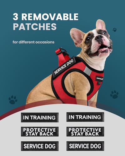 FAYOGOO Service Dog Vest for Small Dogs - Lightweight Dog Harness with 6PCS Removable Patches - Puppy Harness and Leash Se...