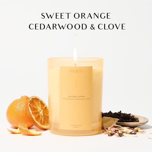 Orange, Cedarwood & Clove Scented Candle | 11oz, 60 Hour Burn | Natural Soy Wax, Cotton Wick | Soy Scented Candles for Hom...
