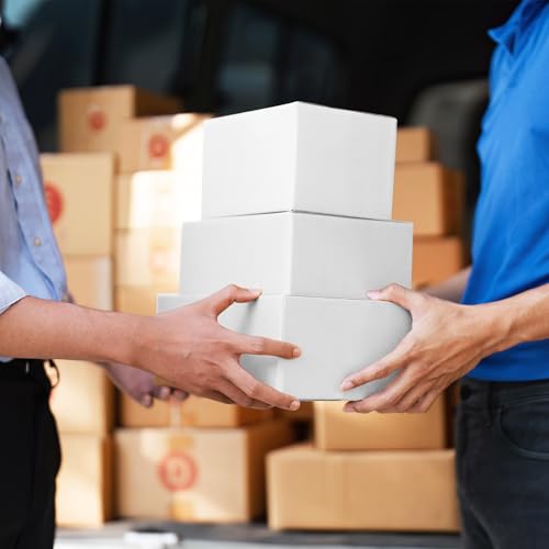 Eupako 12 Pack Small Shipping Boxes Assorted Sizes, White Corrugated Box Mailers, 9x6x4 & 10x7x5 & 11x6x6 4 PCS Each Small...