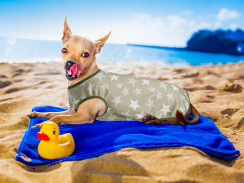 Lightweight Breathable Dog Cooling Shirts, Quick Dry Dog Sunscreen Shirt, Professional Pet Summer Vest for Small Medium La...