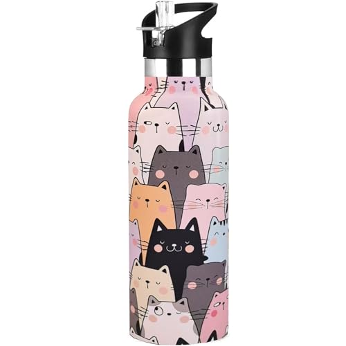 Cat Water Bottle Adult Kids With Straw Lid Insulated Stainless Steel Travel Mugs for Sport Gym Outdoor 20oz