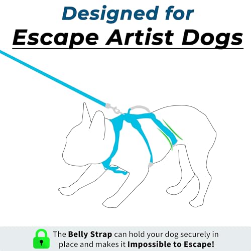 Wuffley Escape Proof Dog Harness and Leash Set, Lightweight Dog Harness with Lift and Assist Handle, No Pull Reflective Pe...