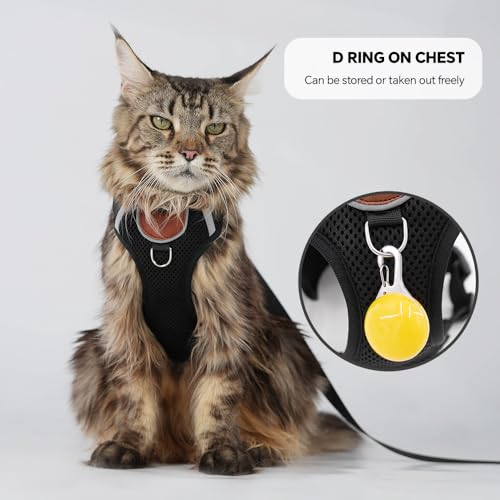 Cat Harness Leash Set with AirTag Holder, Upgraded Escape Proof Vest with Lead for Small Cat Kitten Puppy Small Dog Outdoo...