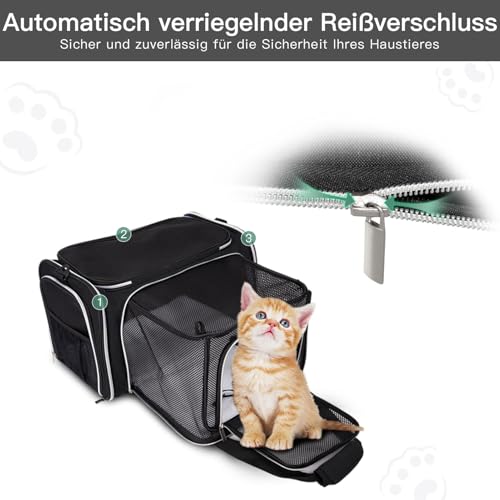 BAGLHER Cat Carrier Bag,Airline Approved Pet Carrier Soft Side Pet Travel 5 Sides Open Doors 3 Sides Expandable Foldable D...