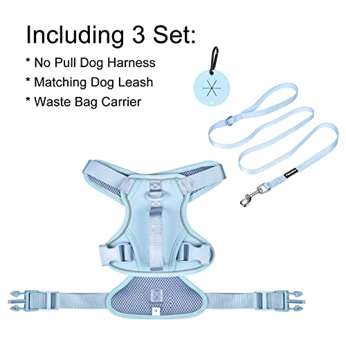 Petmolico Dog Harness for Small Dogs, Cute Harness Vest with Two Leash Clips and Soft Handle, Reflective Easy Walk Puppy V...