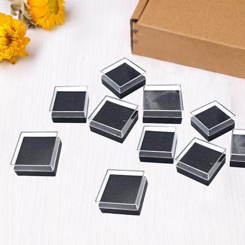 TTFdacai 20 Pcs Clear Plastic Gift Box For Pin 1.7x1.7x0.9inch Black Plastic Lapel Pin Storage Boxes for Badge Pin Crystal...