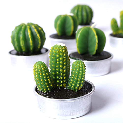 COCOMOON Cactus Tea Light Candles, 6 Pcs Decorative Candles with Artificial Succulents, Unscented, 30 min Burn Time, Moder...