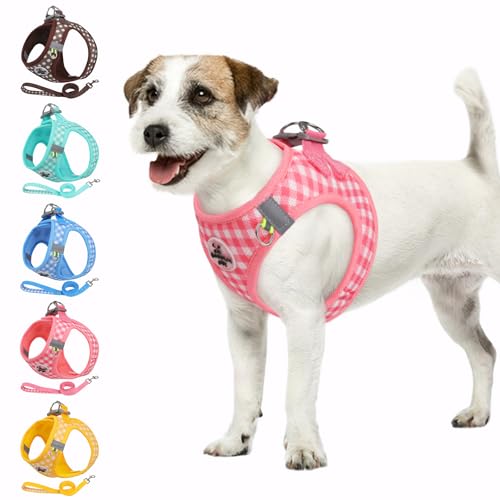 Gyuzh Dog Harness and Leash Set,Soft Mesh Breathable Small Dog Harness,Reflective Adjustable Puppy Harness,No Pull Pet Har...
