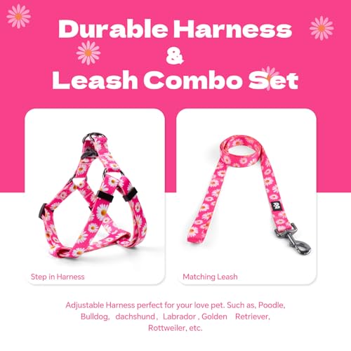 QQPETS Dog Harness Leash Set Adjustable Heavy Duty No Pull Halter Harnesses for Small Medium Large Breed Dogs Back Clip An...