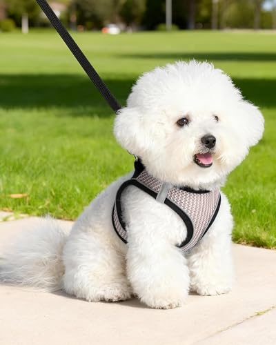 VernAlly Dog Harness Small Sized and Leash Set, Step in Soft Light Puppy Vest, Breathable Mesh Pet Harness Suitable for Pu...