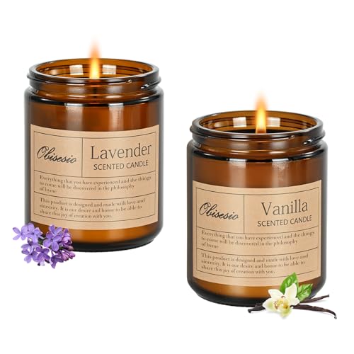 Obisesio Candles 2 Pack, Candles for Home Scented, Aromatherapy Candle Gift Set for Women Soy Wax Long Lasting Amber Jar C...