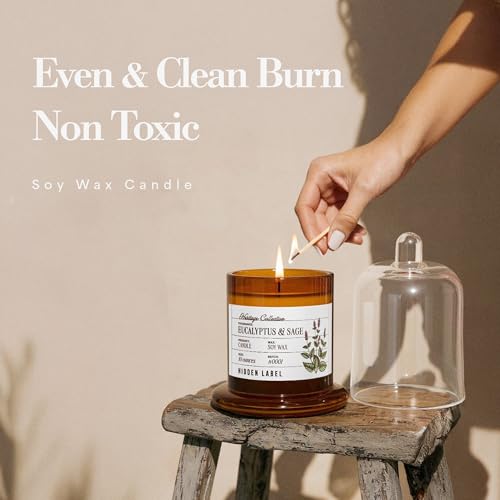 Eucalyptus & Alpine Sage Candle, 10oz Non Toxic Soy Candle in Clear Bell Jar, 55-Hour Clean Burn | Mountain Fresh Aromathe...