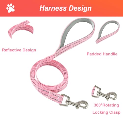 Hipubby Dog Harness Small Sized and Leash Set, No Pull Soft Mesh Puppy Vest, Reflective Breathable Lightweight Pet Harnes...