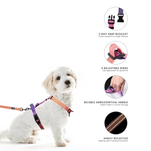 Roses&Poetry Small Dog Harness and Leash Set, No Pull Dog Harness Adjustable Reflective, Dog Halter Harnesses Comfort Padd...