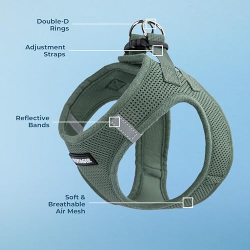Best Pet Supplies Voyager Step-in Air Harness - All Weather Mesh, Reflective, No Pull Harness for Dogs, Cats - Secure with...