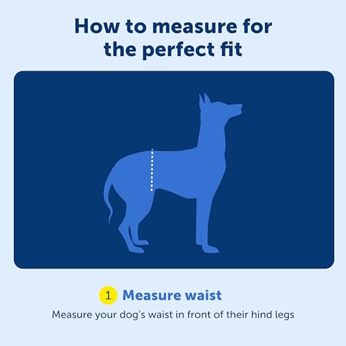PetSafe Adjustable Dog Lifting Harness - Senior & Disabled Dog Rear Mobility Support - Easy-Fitting, Breathable Belly Stra...
