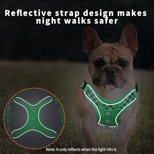 Dog Harness with Leash Set, Adjustable Step in with Breathable Padded Vest Harness for Medium Large Dogs Training and Runn...