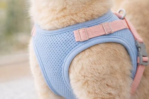 Cat Harness and Retractable Leash Set – Escape-Proof Adjustable Soft Air-Mesh Vest with Reflective No-Choke Design, Heavy-...