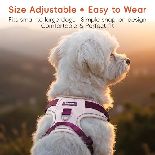 3 in 1 No Pull Dog Harness Leash and Collar Set, Soft Adjustable Dogs Vest Reflective and Comfortable Handle Pink Small