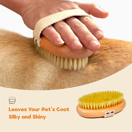 MLQGKUZ Professional Dog Brush Boar Bristle for Short-Haired Dogs - Reduces Shedding, Non-Slip Grip, Gentle Grooming