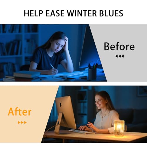 Mirasium Battery Operated Lamp, Cordless Table Lamp with Timer, Desk Bedside Lamps with LED Warm Light, Glass Small Table ...