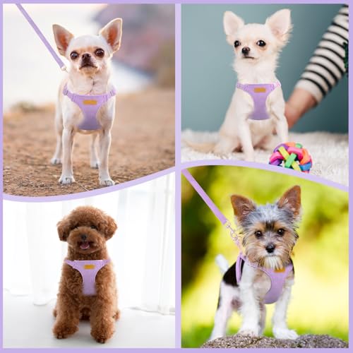 Lukovee No Pull Small Dog Harness with Leash - Lightweight Soft Puppy Vest Harnesses, Adjustable Pet Harnesses for Puppy S...