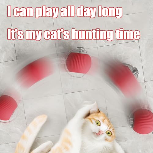 2025 New Interactive Dog Cat Toys Balls,Interactive Rolling Ball Cat Toy, 360° Smart Automatic Rolling Pet Ball, Fast Movi...