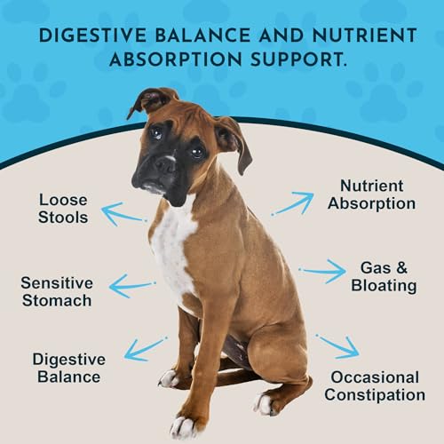Animal Essentials Plant Enzyme & Probiotics - Probiotics & Digestive Enzymes for Dogs & Cats, Natural Daily Gut & Digestio...