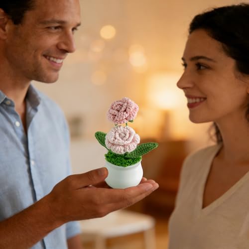 Joekaran Crochet Flowers Cute Little Potted Flower, Birthday Gifts for Women, Mother's Day, Teacher’s Day, Graduation, Ann...