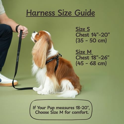 Tiny Trails Step-in Dog Harness for Medium Sized Breeds Adjustable No-Pull Soft Vest, Secure, Lightweight & Comfortable Pr...