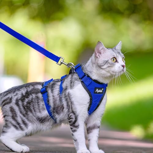 PUPTECK Cat Harness and Leash Set Escape Proof for Walking, Breathable Mash Vest Adjustable Harness for Cats Puppy Small A...