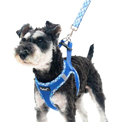 PUPTECK Dog Harness and Leash Set for Small Medium Dogs No Pull Step-in Soft Mesh Puppy Cat Vest Harnesses Reflective at N...