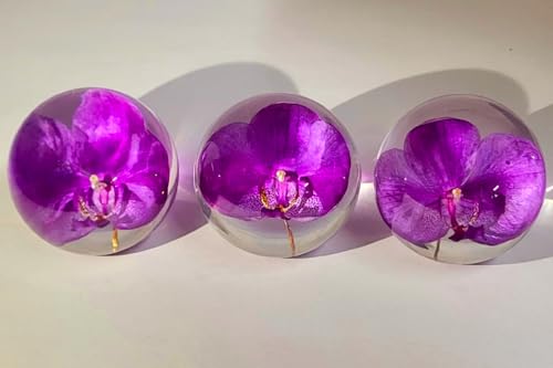 HQRP-Crystal 66mm Real Purple Orchid in Clear Lucite Resin Ball Anniversary Wedding Engagement Valentine October Birth Mon...