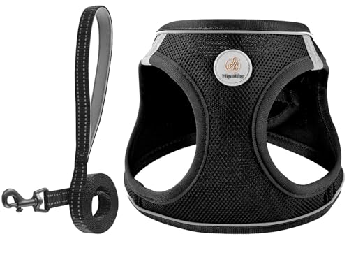 Hipubby Dog Harness and Leash Set, No Pull Soft Mesh Puppy Harness for Small Medium Dogs, Cats - Step in Reflective Breath...