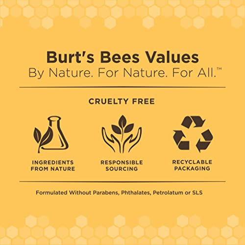 Burt's Bees for Pets Kitten Grooming Wipes with Buttermilk and Honey, Waterless Cat Bath Wipes for Face, Paws, Tail and Co...